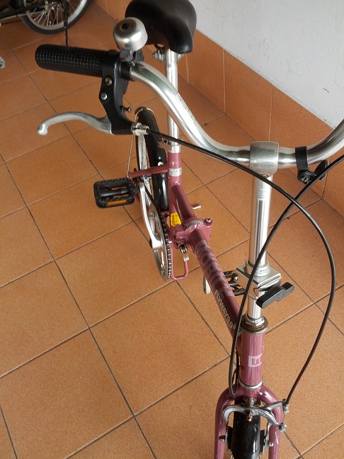 IMG_20130916_120128.jpg