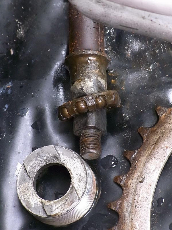 RIMG6321.JPG