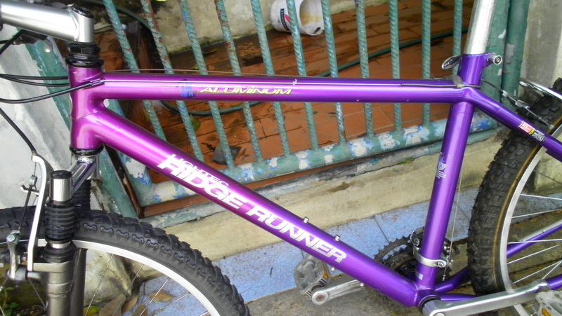 SANY0136.JPG
