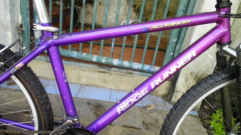 SANY0130.JPG
