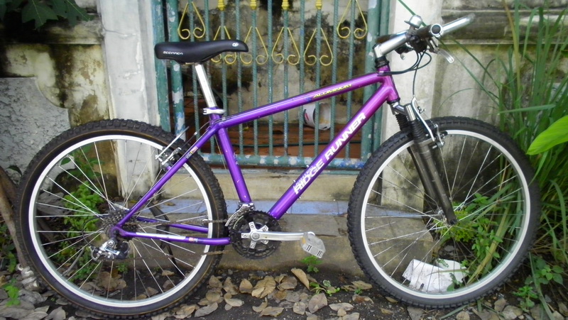 SANY0129.JPG
