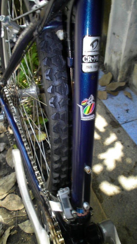 SANY0132.JPG