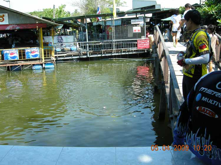 DSCN7994.jpg