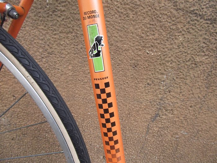 DSCF7144.JPG