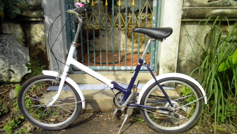 SANY0130.JPG