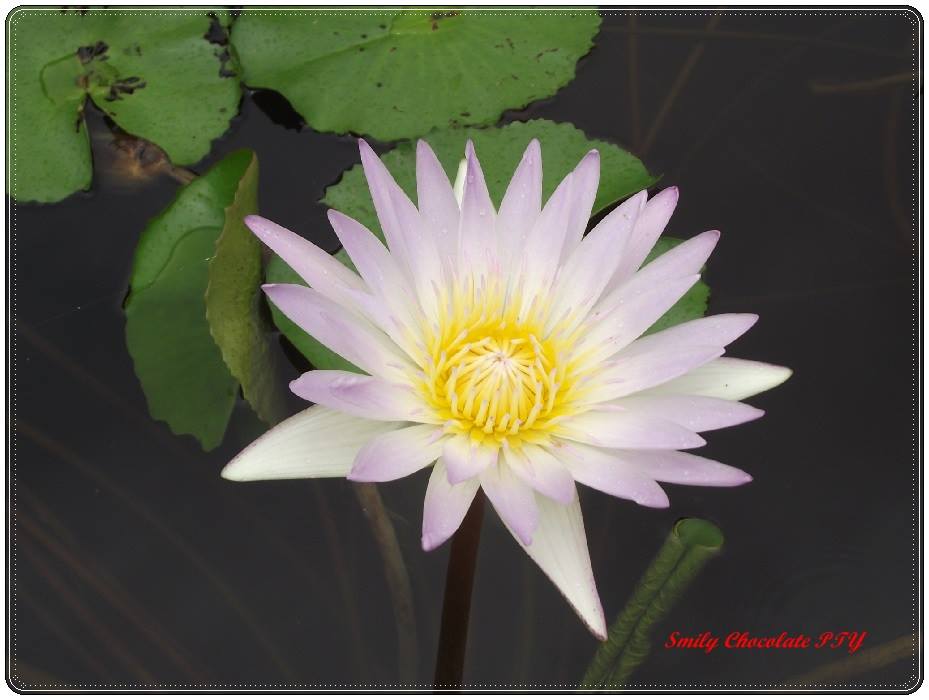 DSCF1373.JPG