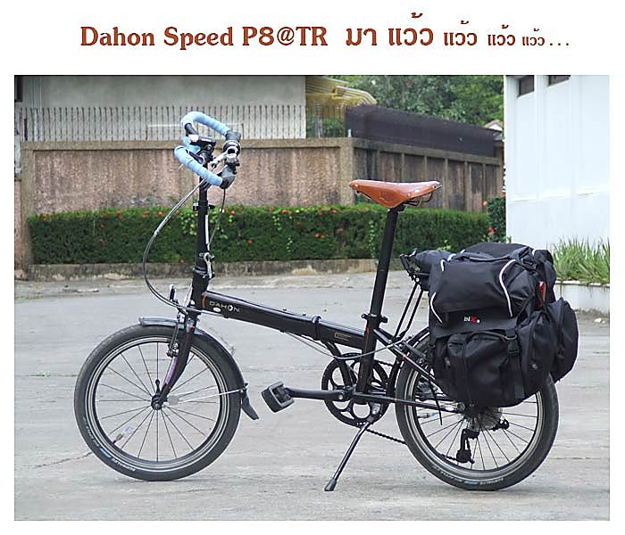 Dahon.jpg