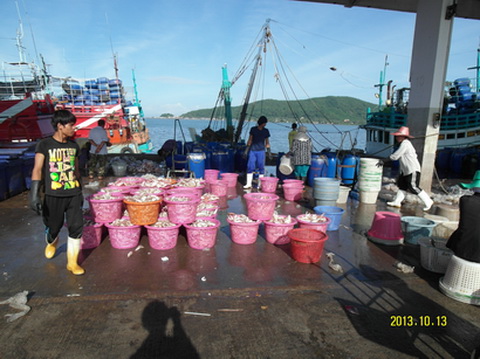 .....สินในน้ำ