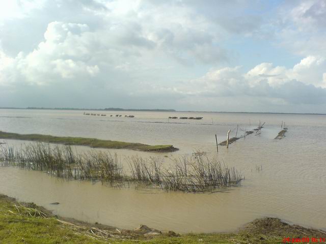 Resize of DSC01124.JPG