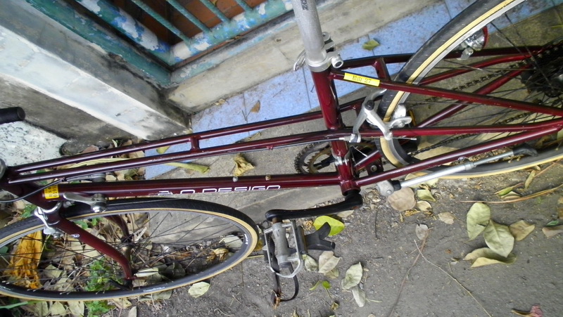 SANY0169.JPG