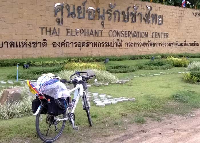 รถถีบ4.jpg