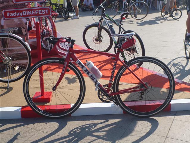 P1060167 (Small).JPG