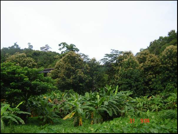 DSC04395.jpg