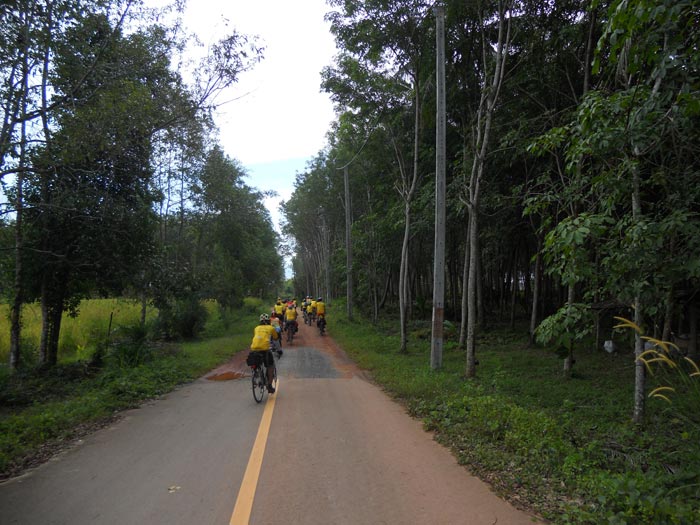 DSCN7726.jpg