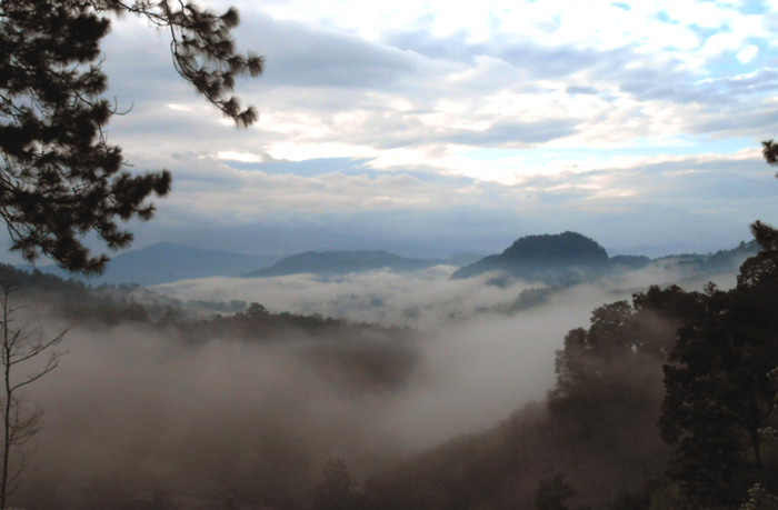 DSCN0522.jpg