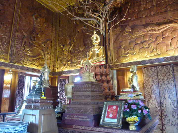 P1090748_resize.JPG