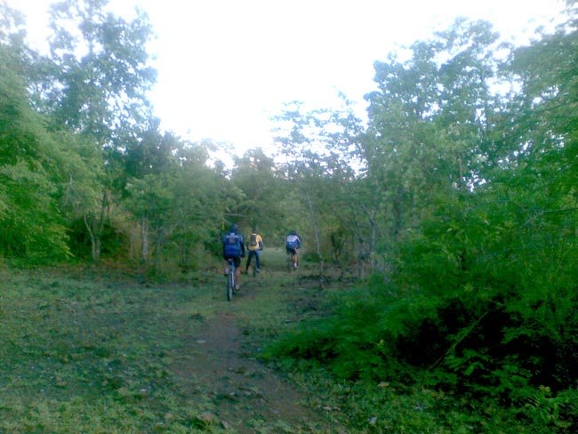 15042009(019).jpg