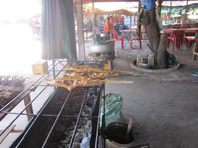 IMG_4026 (Small).JPG