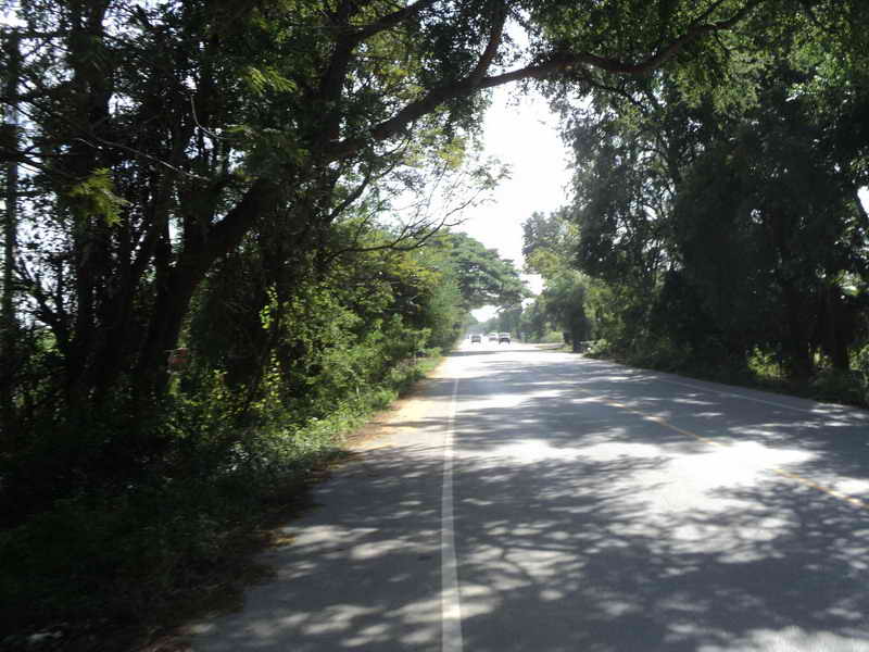 DSC09629_resize.jpg