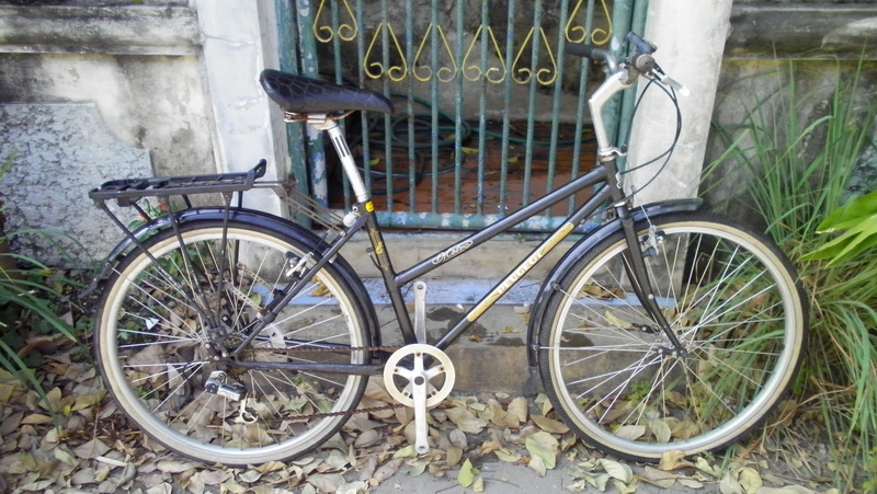 SANY0144.JPG