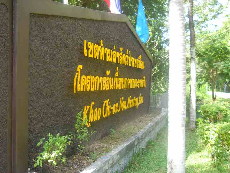 DSCN1201.jpg