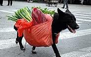 images.jpg