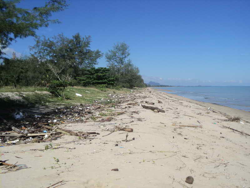 DSC09800_resize.JPG