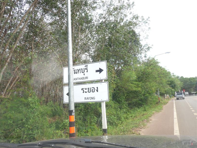 P1200316 (Medium).jpg