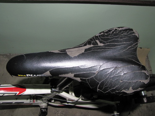 IMG_4260_resize.JPG