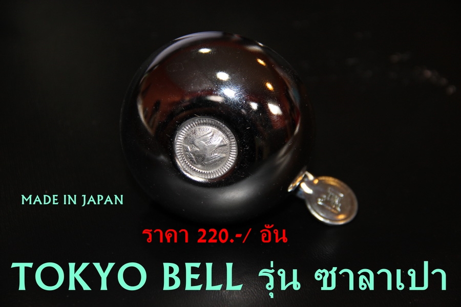 IMG_1898_resize.JPG