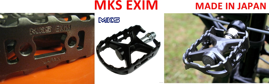 MKS EXIM .JPG