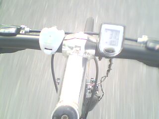 IMG0319A.jpg