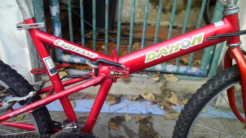 SANY0161.JPG