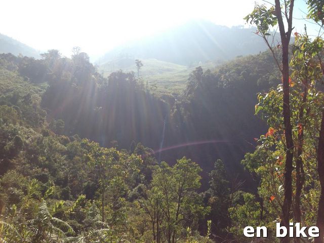 097.jpg