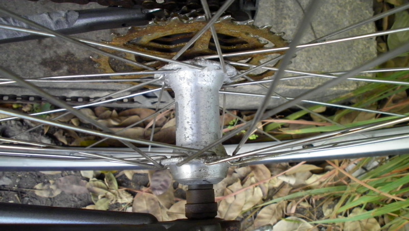 SANY0176.JPG