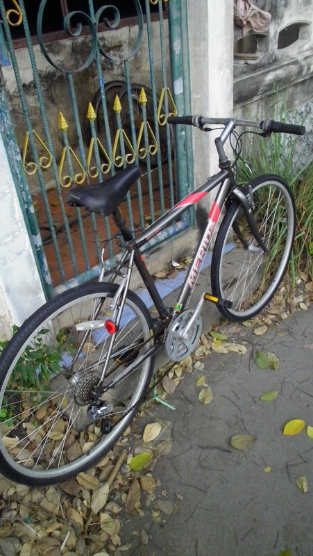 SANY0173.JPG