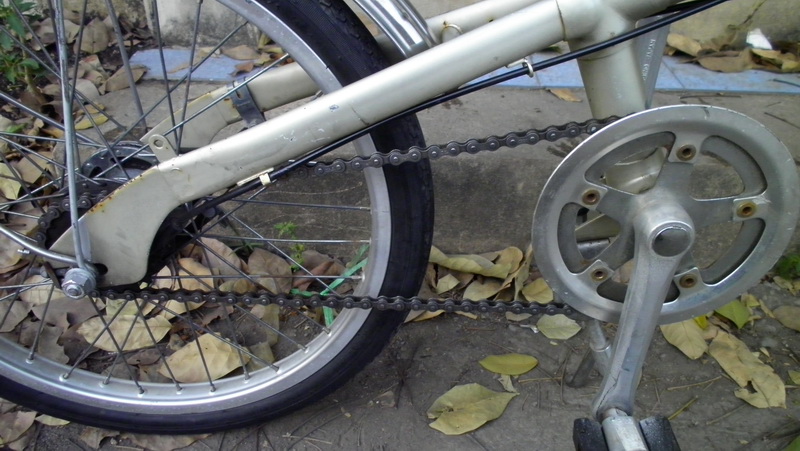SANY0183.JPG