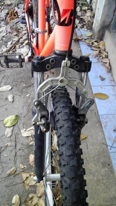SANY0157.JPG