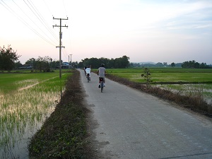 IMG_7869.JPG