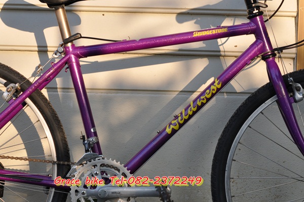 333DSC_0009.JPG