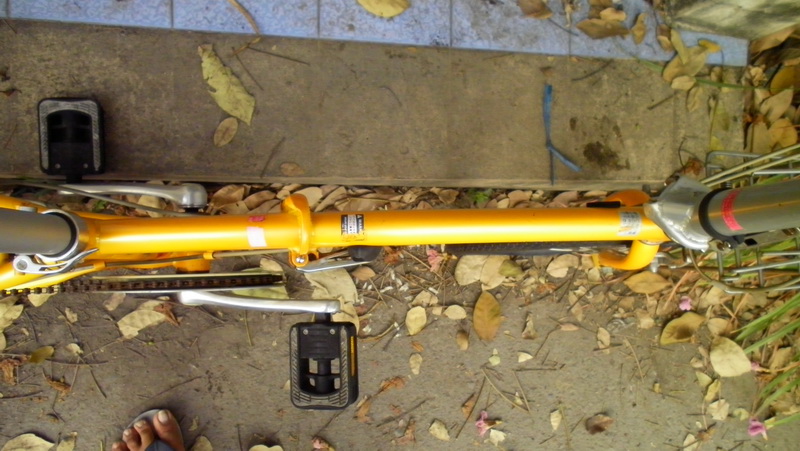SANY0153.JPG