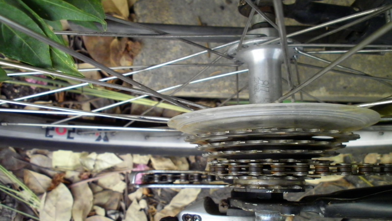 SANY0155.JPG