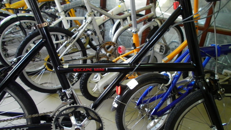 SANY0152.JPG
