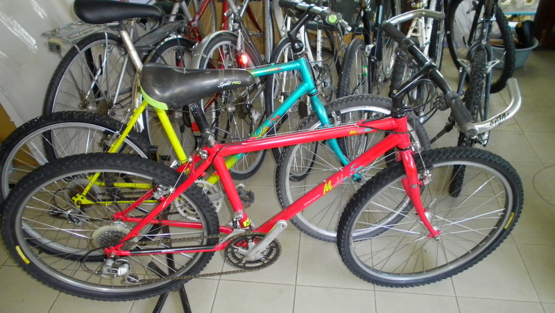 SANY0198.JPG