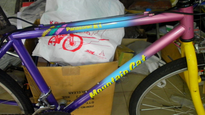 SANY0208.JPG