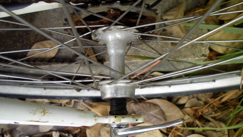 SANY0177.JPG