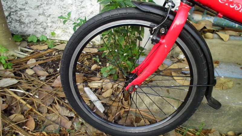 SANY0176.JPG