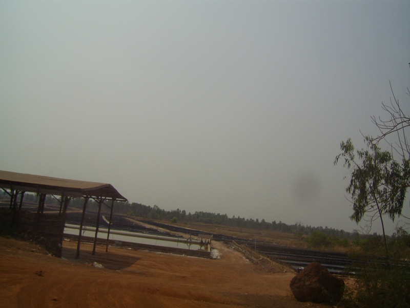 PIC_3439.JPG