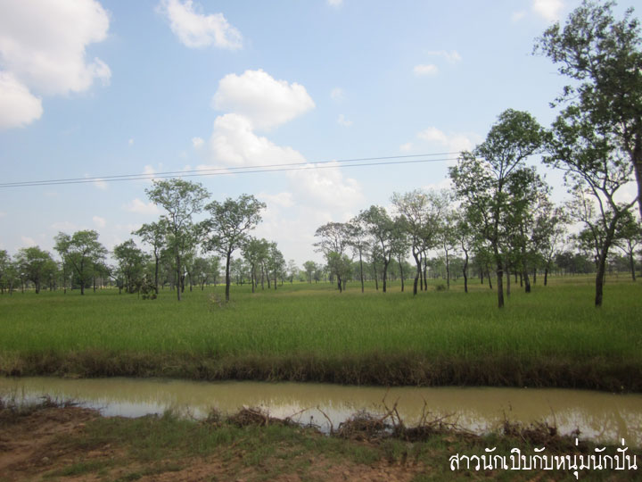 D021.jpg