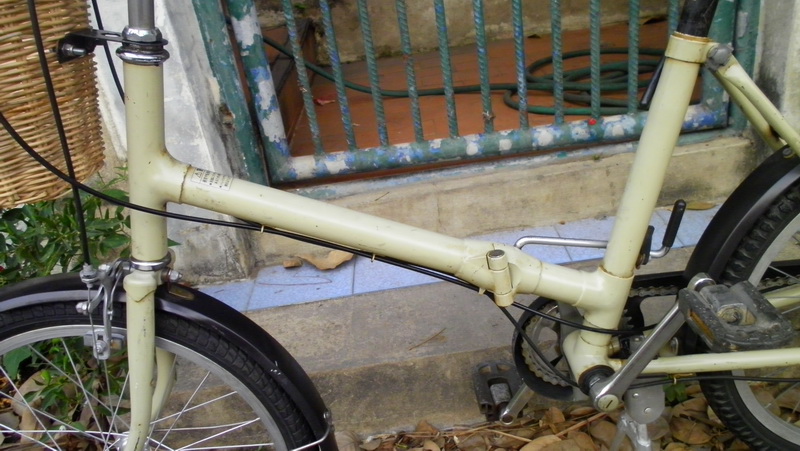 SANY0177.JPG